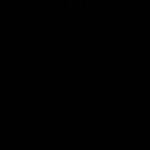 Meet your Posher, Max